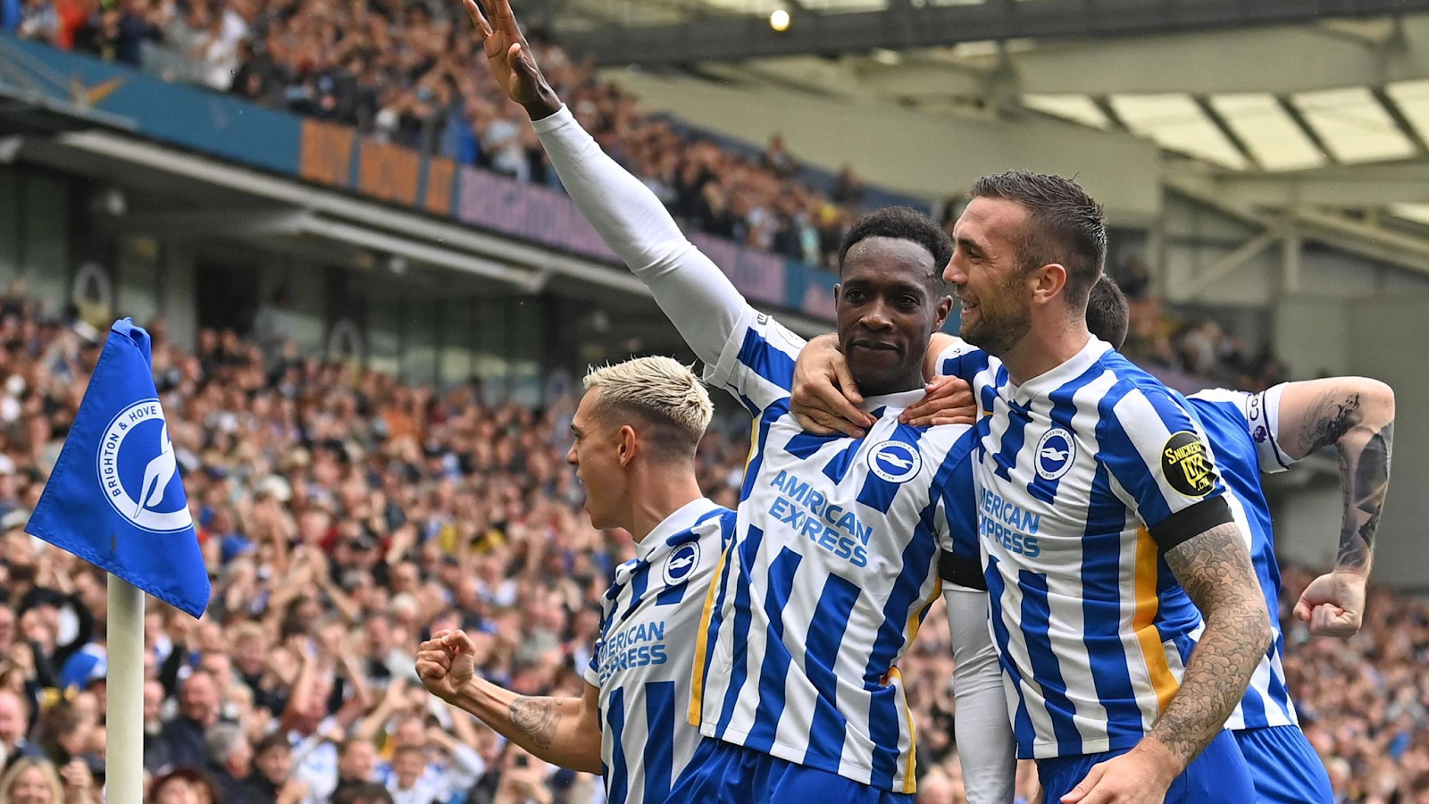 Brighton & Hove Albion: Hành trình lịch sử và những thành tựu đáng chú ý