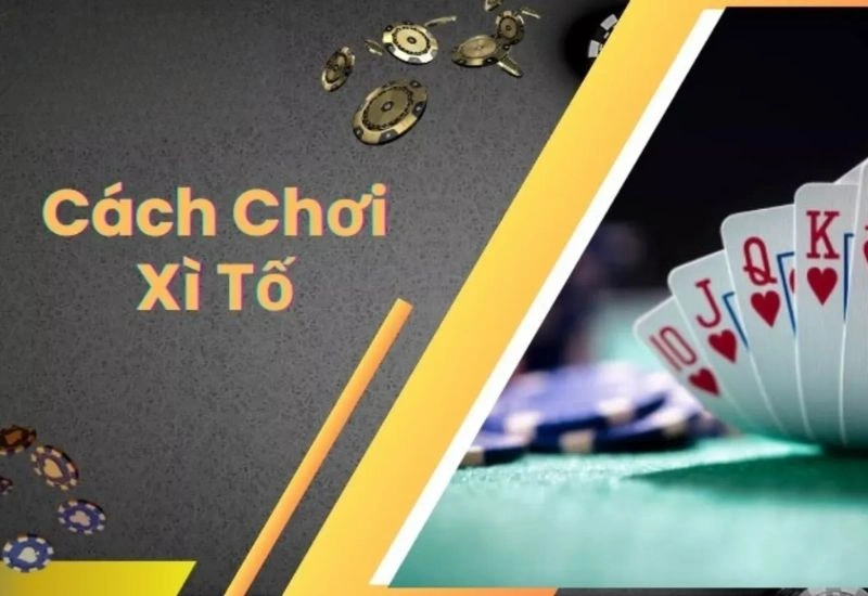 Hướng dẫn cơ bản về chơi poker cho người mới bắt đầu